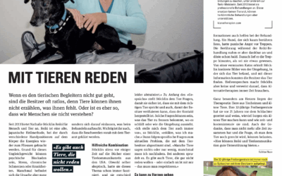 Beitrag im Regio Aktuell