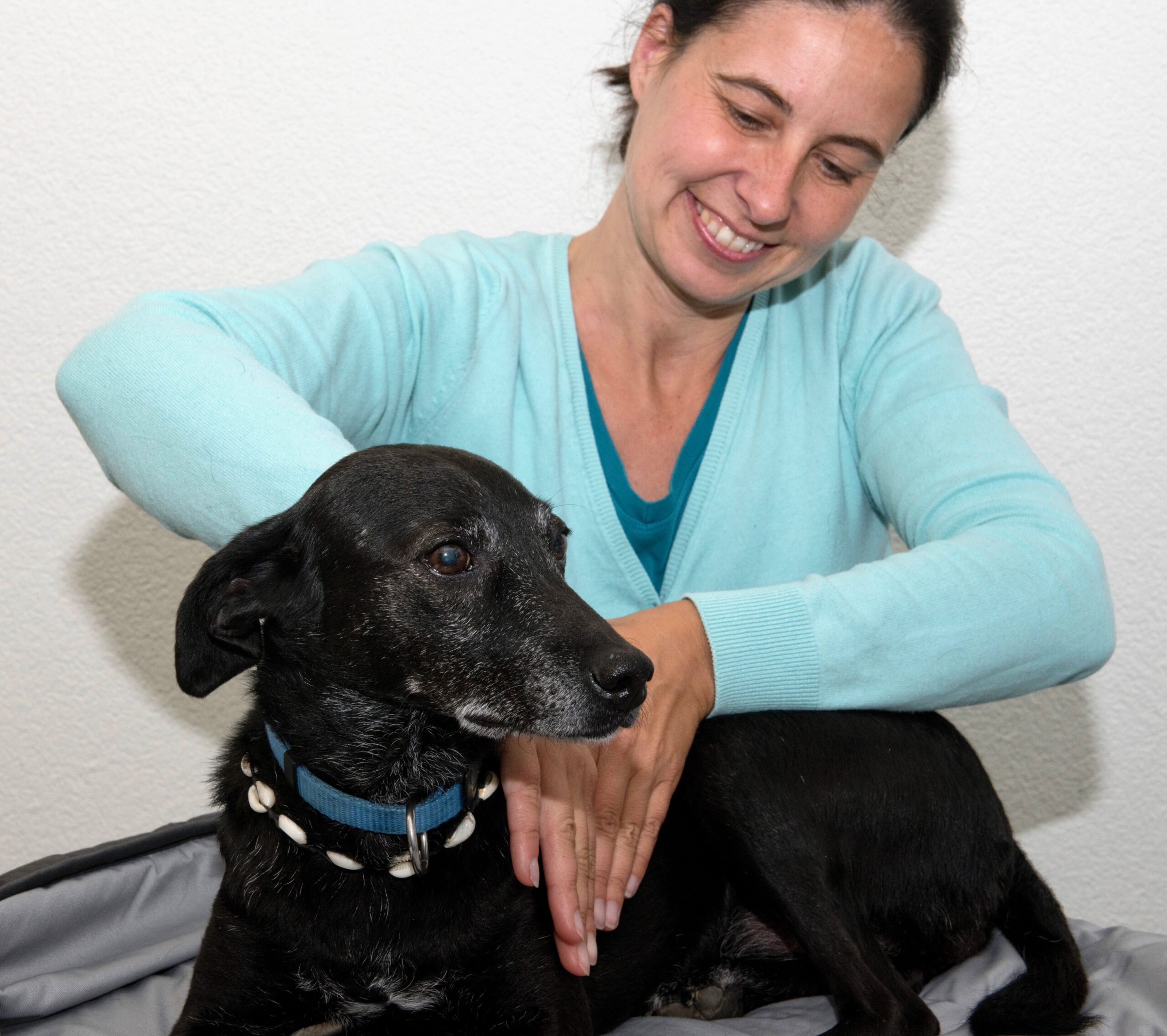 Warum ich Fernreiki an älteren Tieren liebe