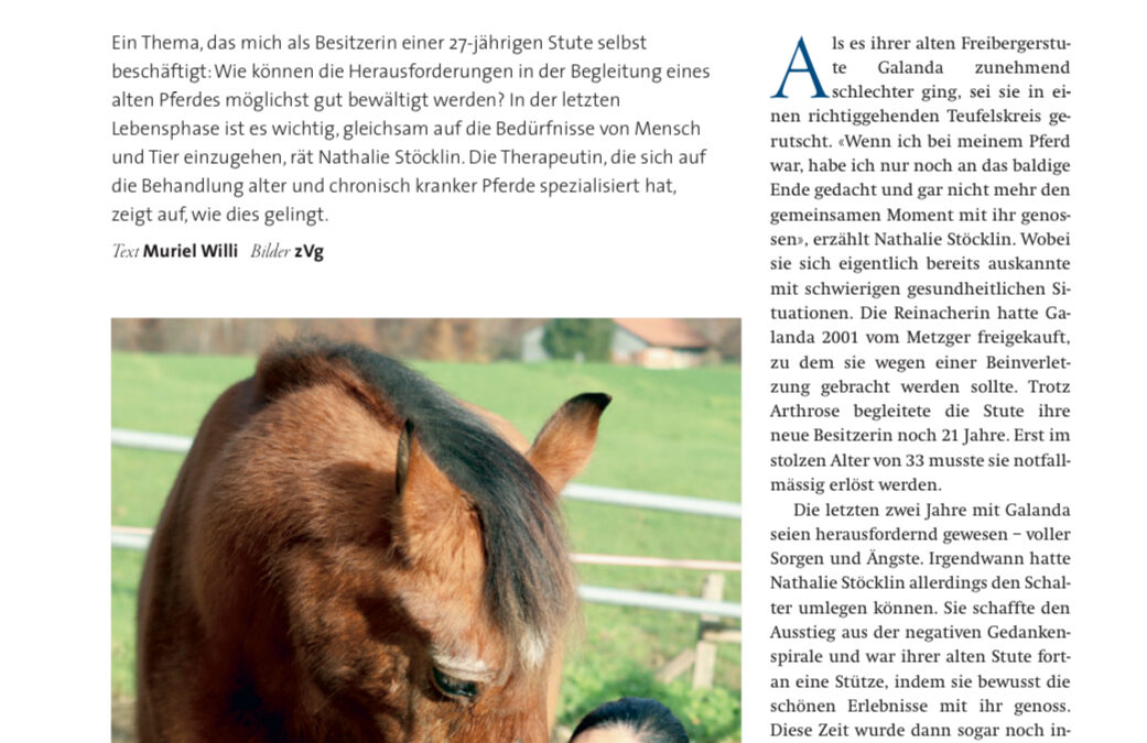 Beitrag über mich im Pferdemagazin Kavallo 07/2025