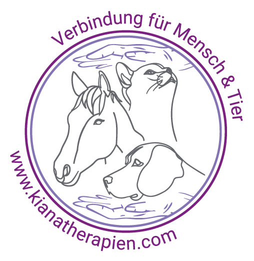 Wie ich zu meiner Berufung fand – alles begann mit einem absolut verrückten Entscheid