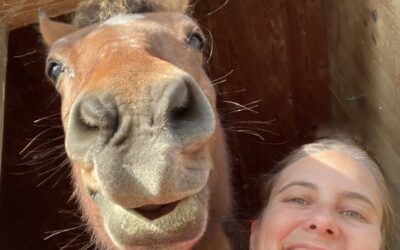 Der letzte Lebensabschnitt mit meinem Pferd – wie ich diese Zeit geniessen konnte