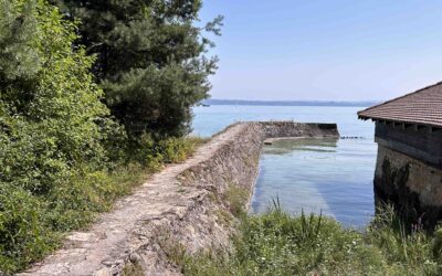 Monatsrückblick August 2025