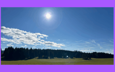 Wie ich in der Natur auftanke – warum Stille meine schönste Energiequelle ist